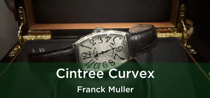  Cintree Curvex Franck Muller